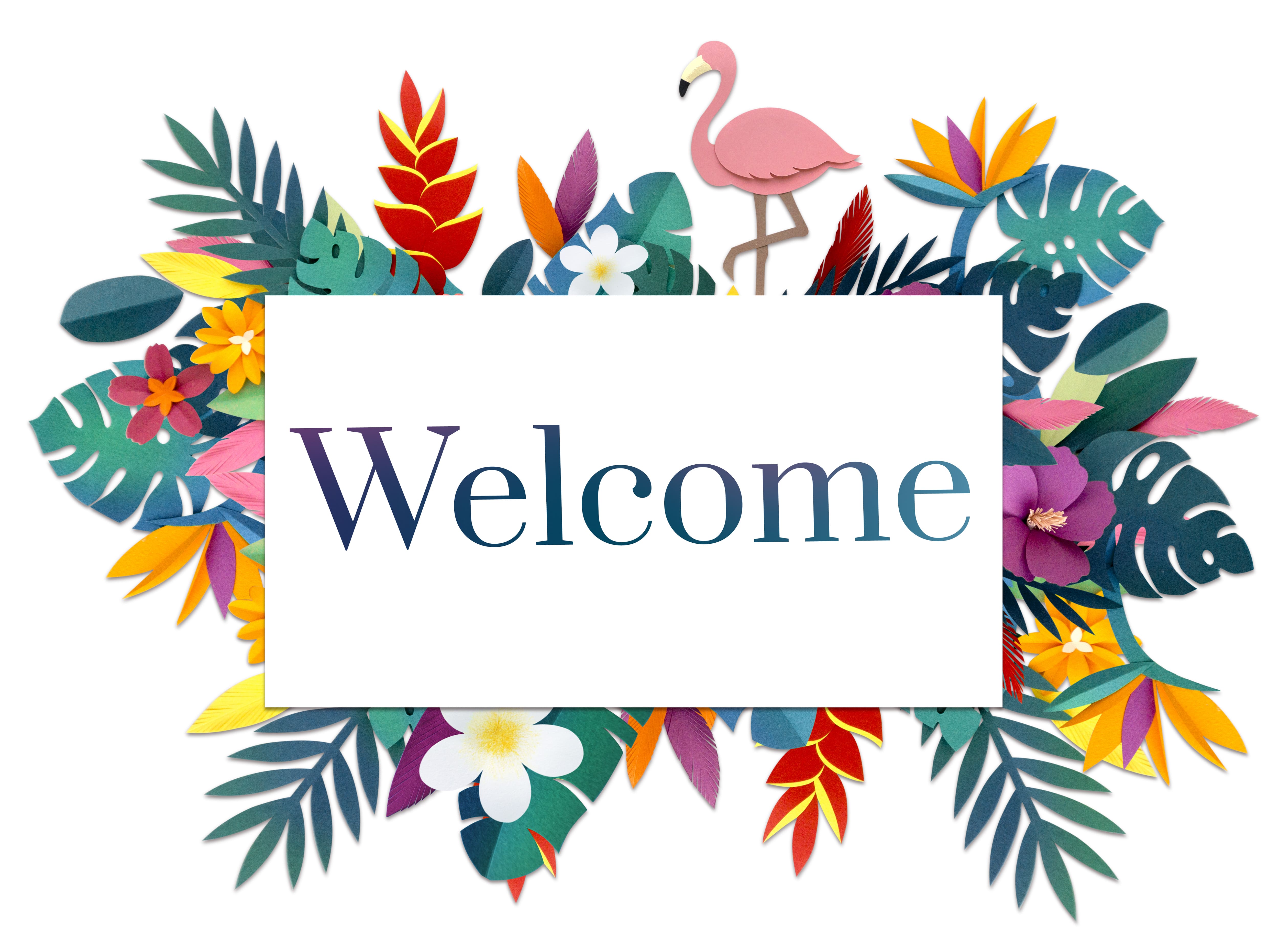 North Macedonia News